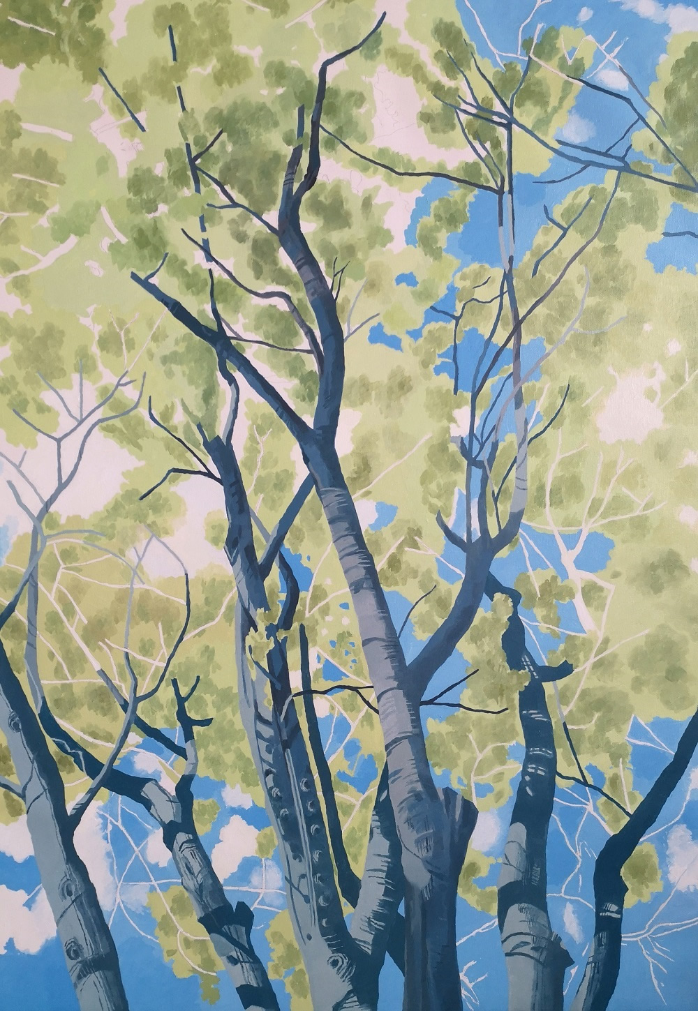 Vista atraves de Urapanes 